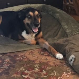 Meet your Posher, Neila